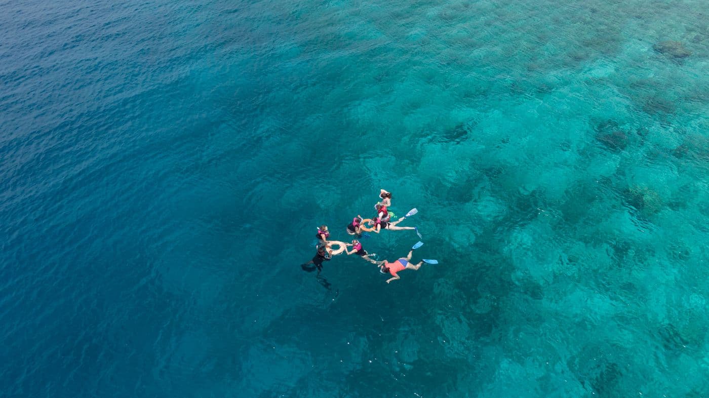 Group snorkelling in clear turquoise water beside the boat