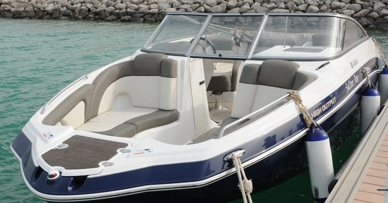 Sayer — Yamaha 242 Limited Edition jet boat — photo 1